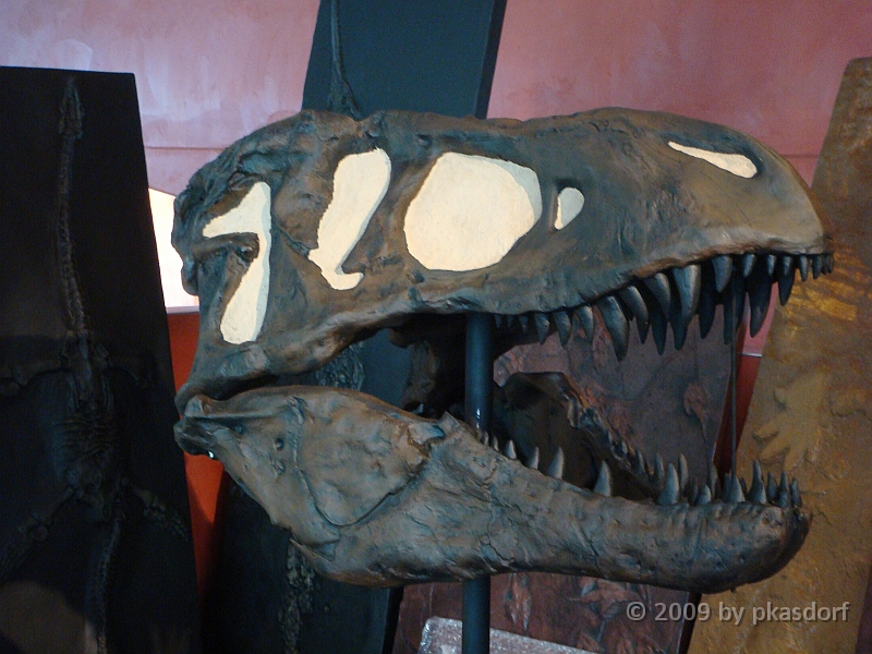 014 Cranbrook Institute of Science [2008 Jan 02].JPG